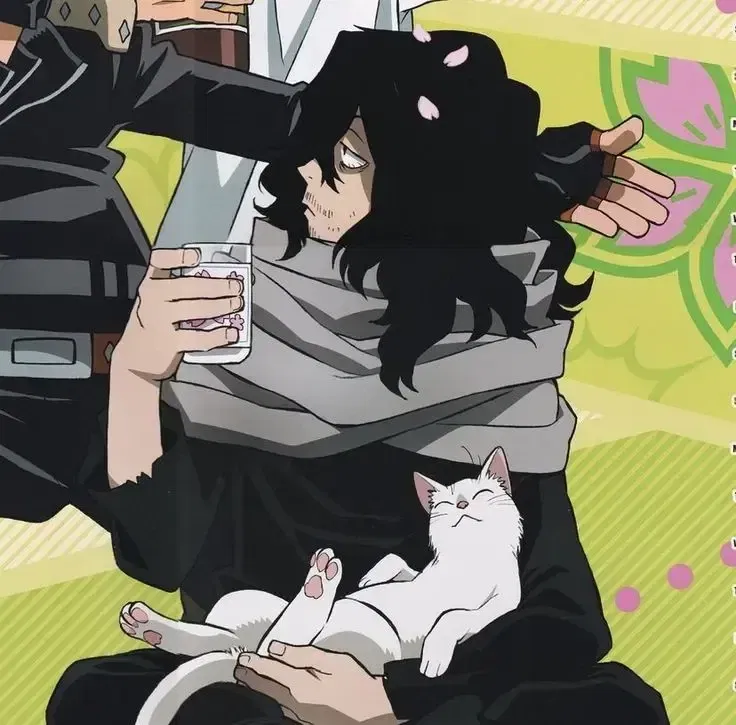 Shota Aizawa