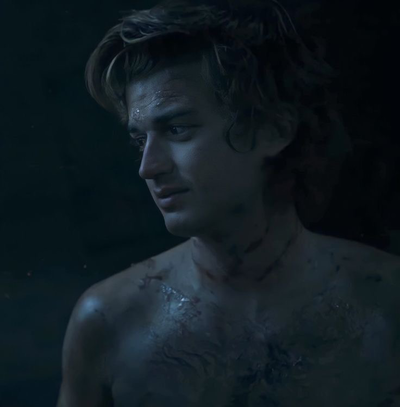 Steve Harrington 
