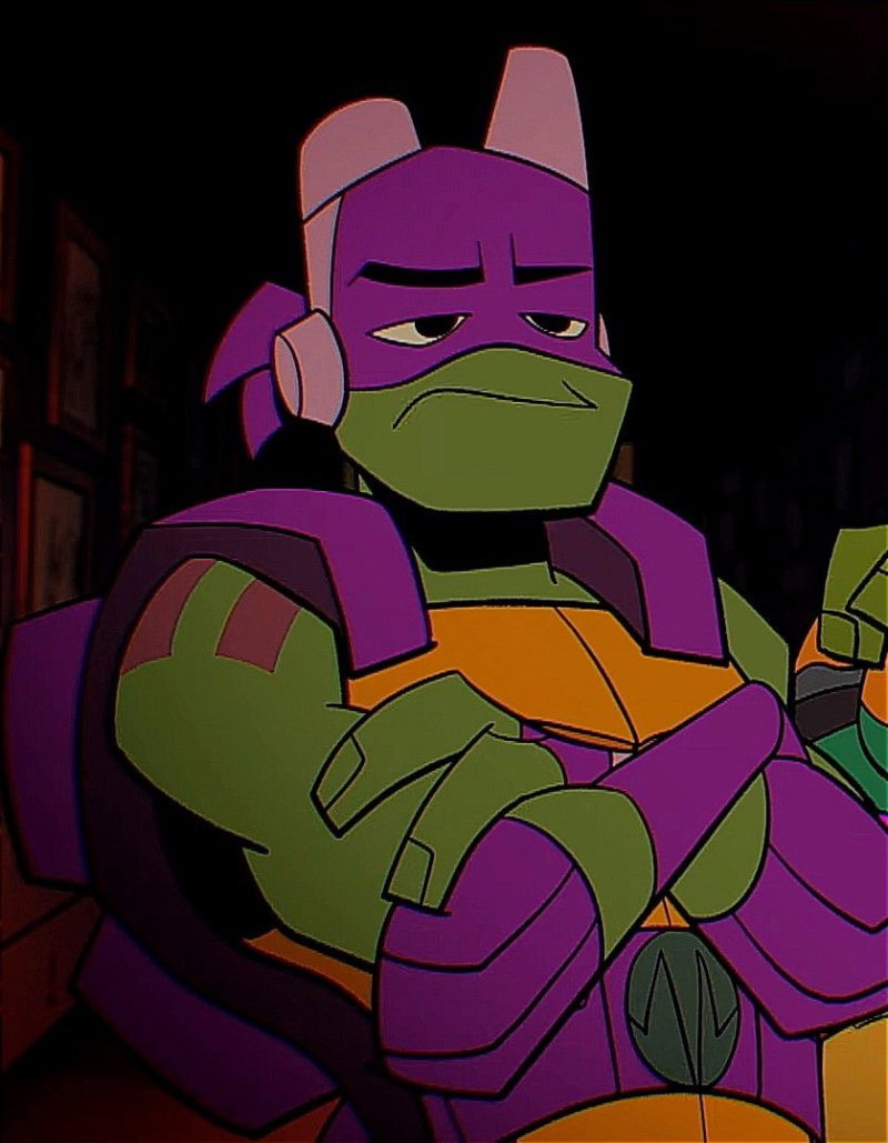 Donnie - ROTTMNT