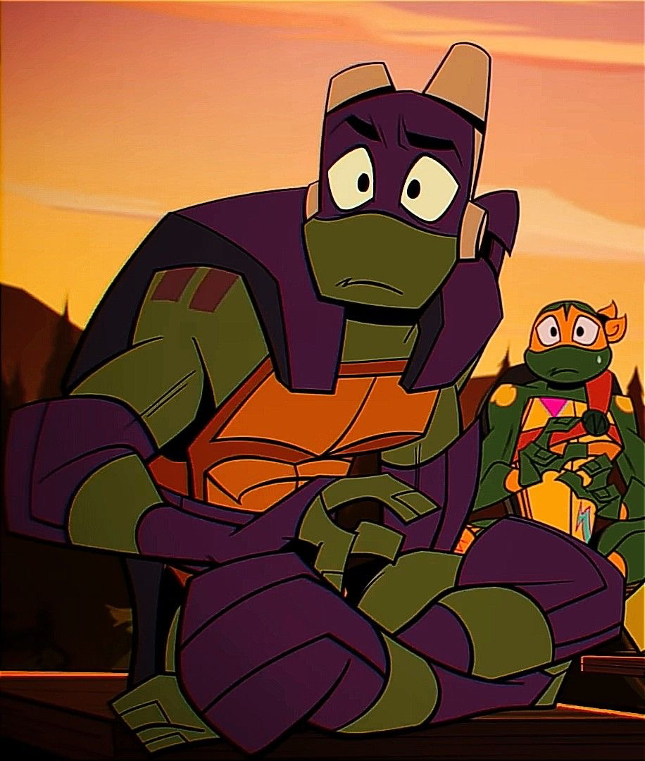 Donatello Hamato - ROTTMNT