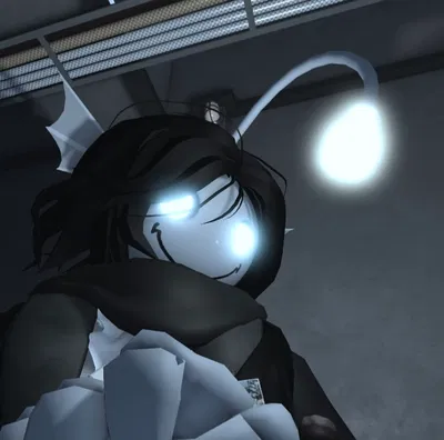 Sebastian solace