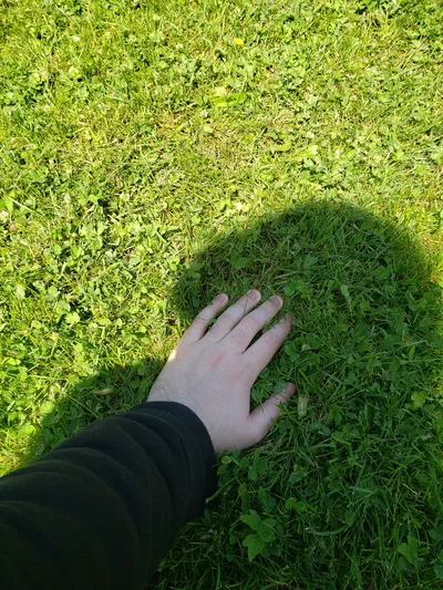 Transformation Dating App