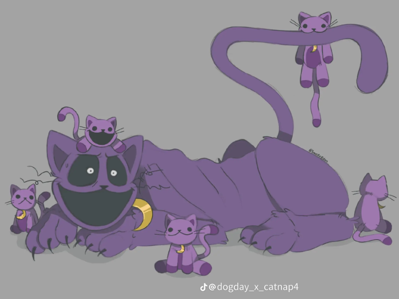 Catnap
