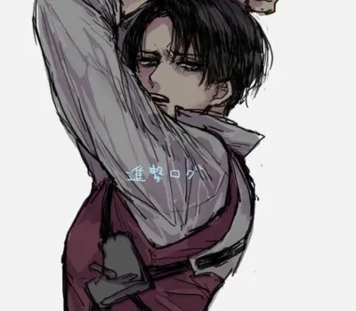 Levi Ackerman