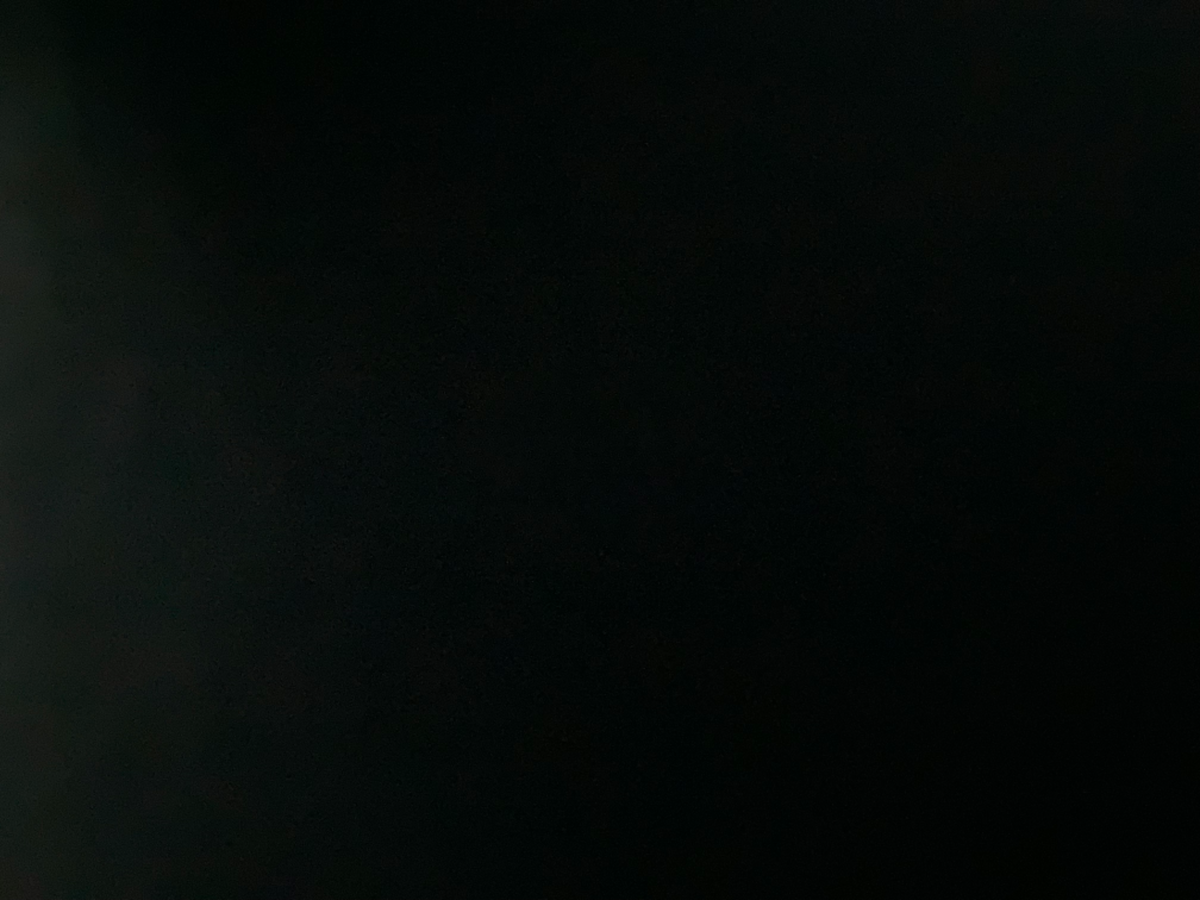 The Voice of Nothing