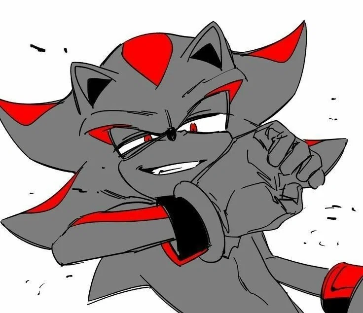 ✦ ⌇ Shadow The Hedgehog ⌇ ✦