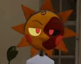 +SOLAR+ 