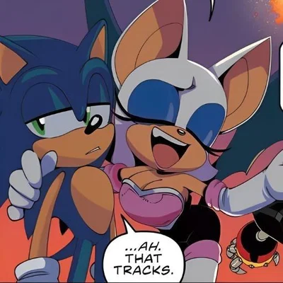 **ROUGE THE BAT** V2