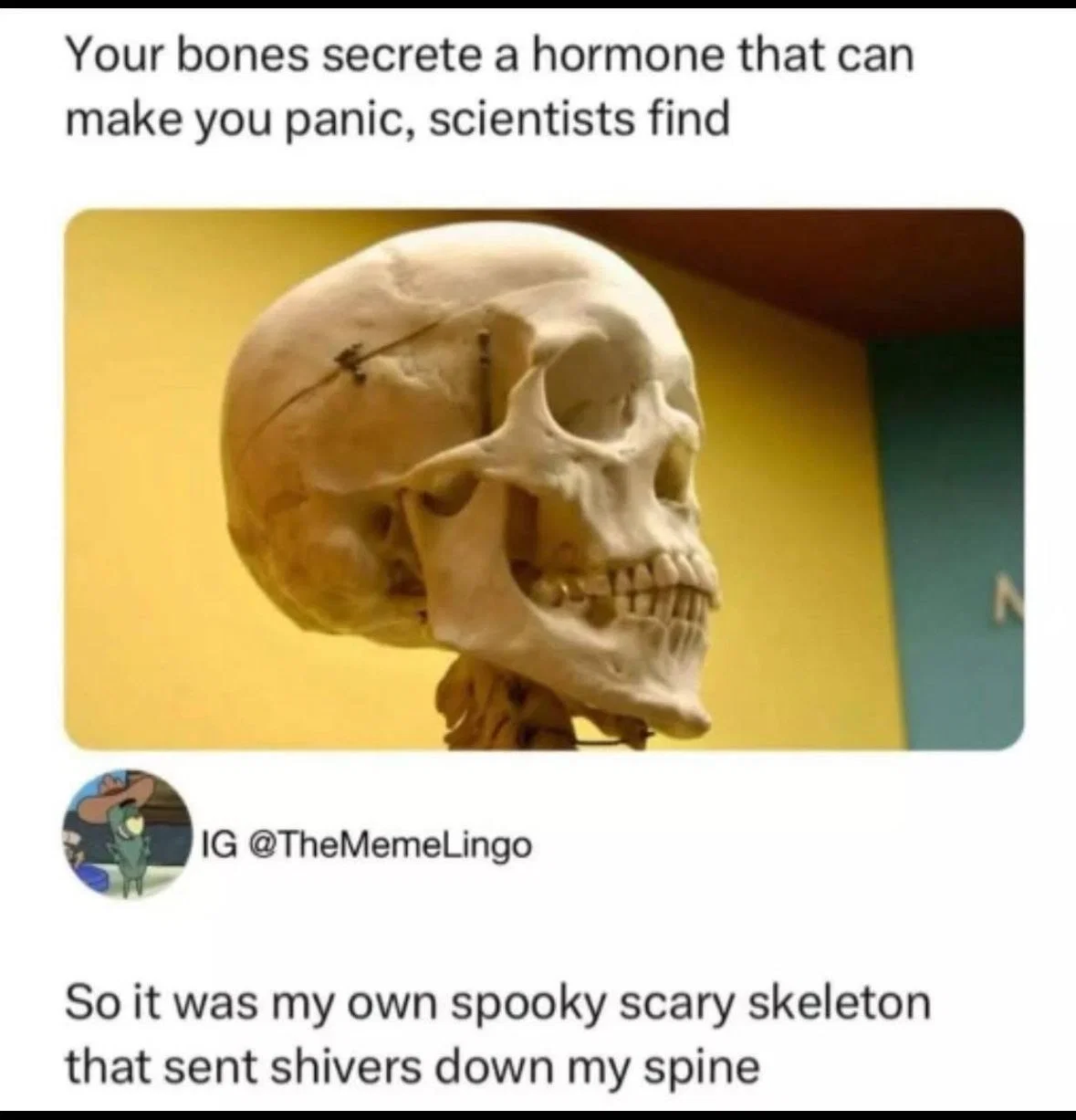 Whuh?!