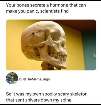 Whuh?!