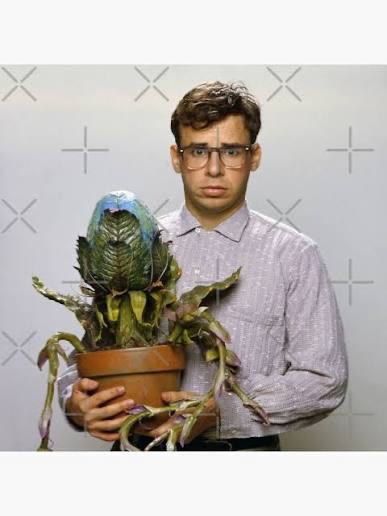 audrey ii, seymour and the pick me girl tiffany