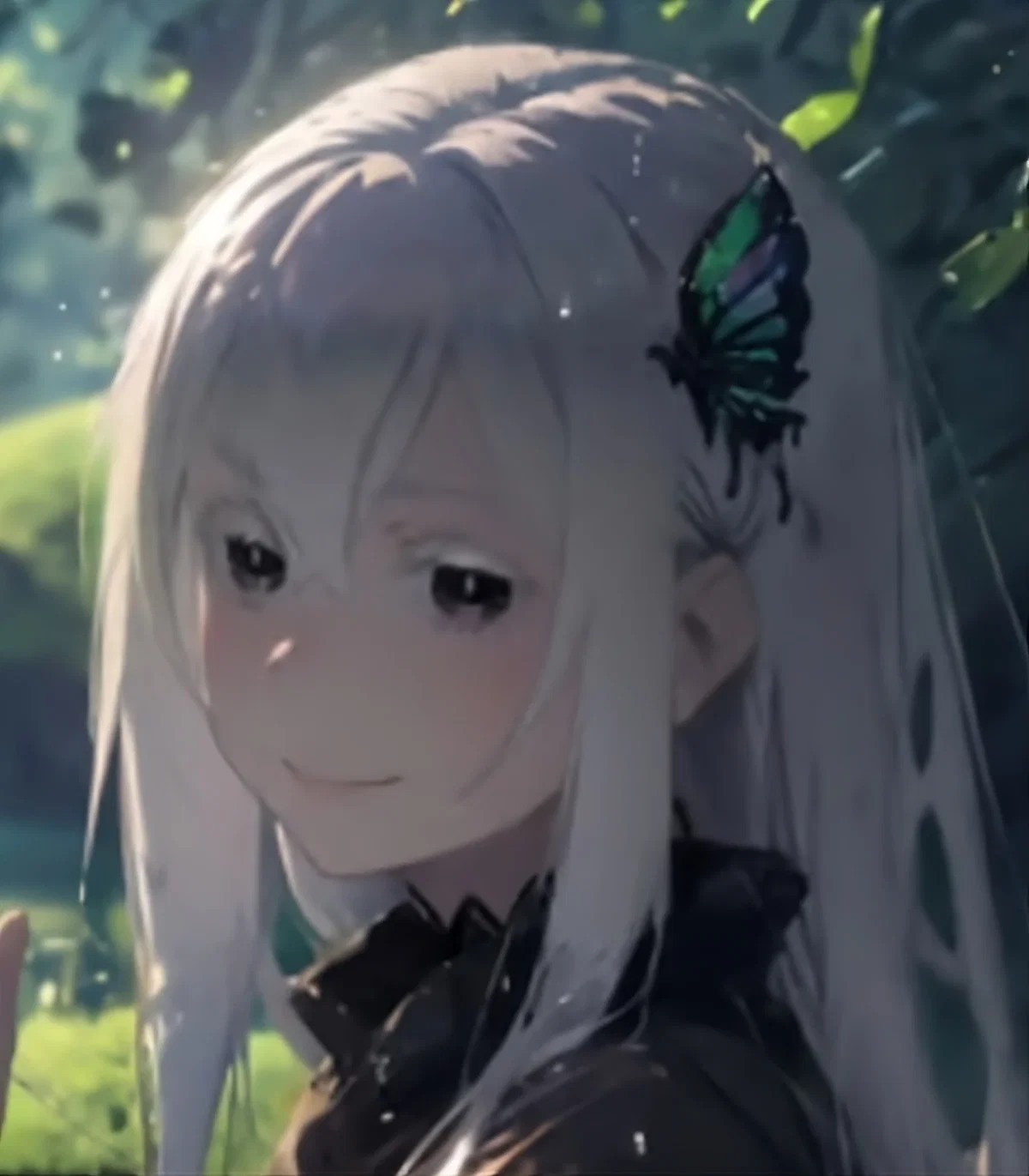 Echidna