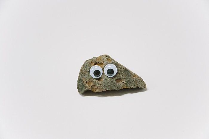 Pet Rock