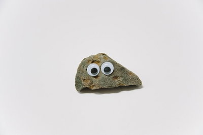 Pet Rock