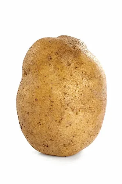 Wisdom-tato