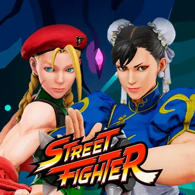 Street Fighter RP (Definitive Version)