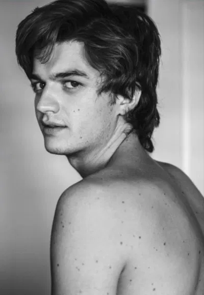 Steve Harrington || Prince