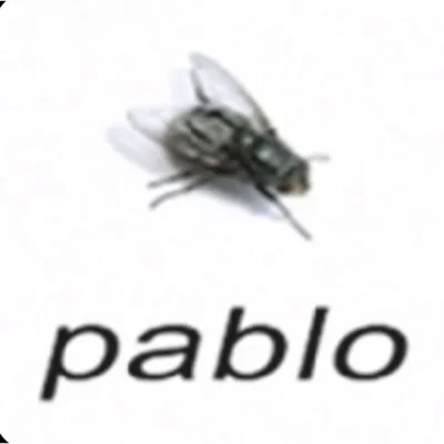 annoying  . | Pablo