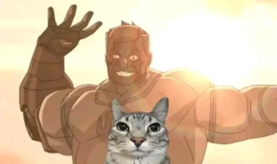 Bot Requests