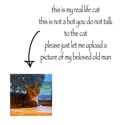 Announcement