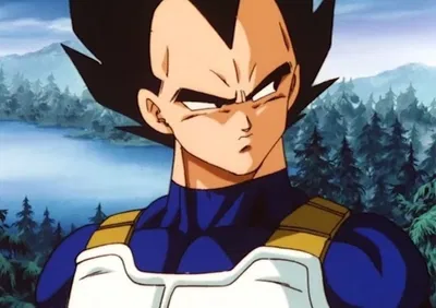 Vegeta | Post Namek arc