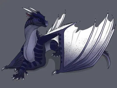 Whiteout | The NightWing-IceWing Hybrid