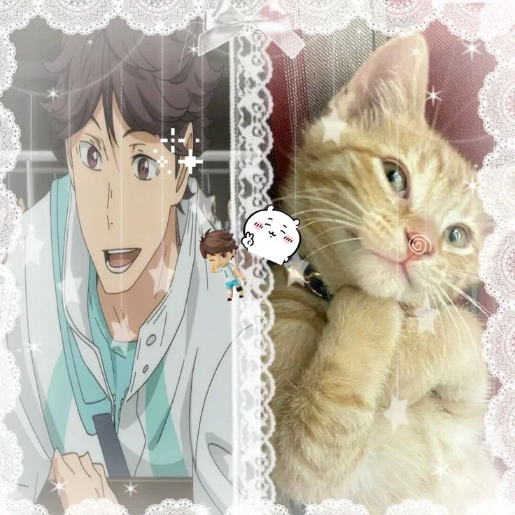 Oikawa Tooru