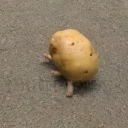 Potatoes w/legs