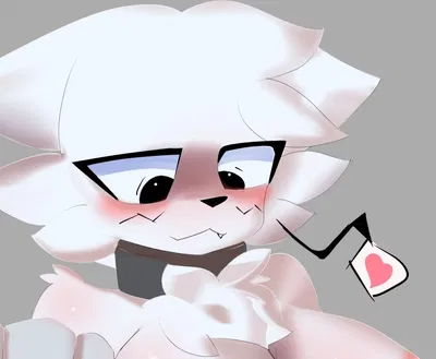 Futa boykisser