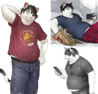 Fat Furry Cat Roommate