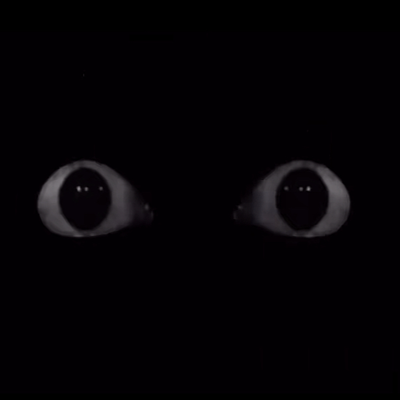 [🌹] The Eyes