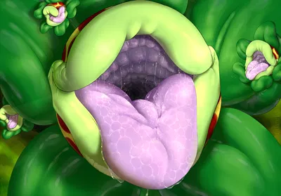 Monster Plant