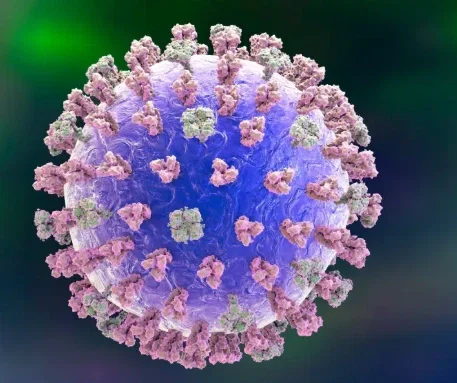 Weight Gain Virus | Pinguislip 