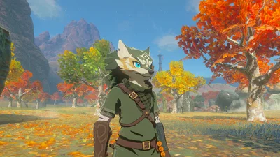 Wolf Link