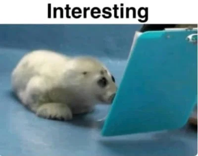 BOT REQUESTS OPEN AGAIN CHECK DESCRIPTION