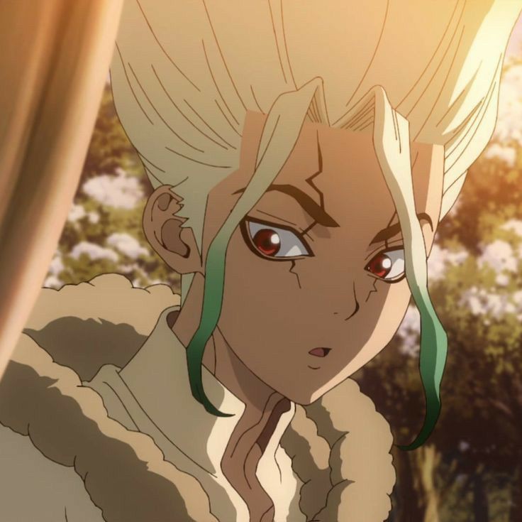 Senku Ishigami 