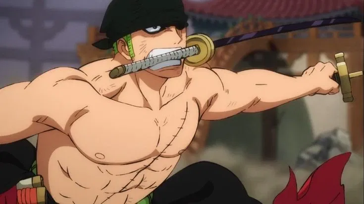 Timeskip Zoro