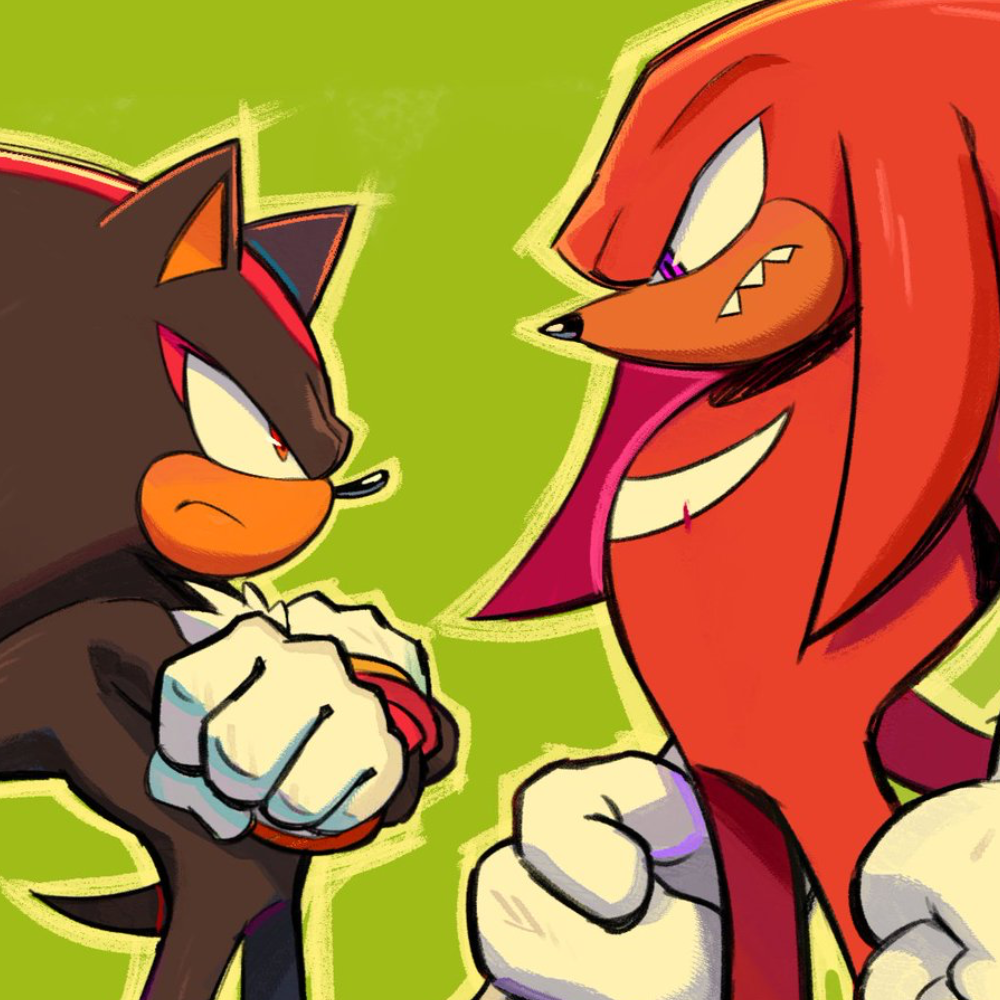  ̊+۶ৎ ̇⋆ Shadow and Knuckles