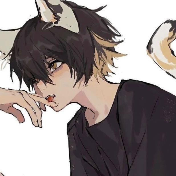 Suki - Demi-human Femboy Cat