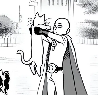 One Punch Man ( OPM RP / RPG )