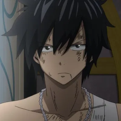 Gray Fullbuster