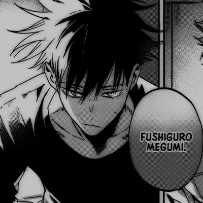 Megumi Fushiguro