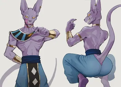 Beerus | God of Destruction