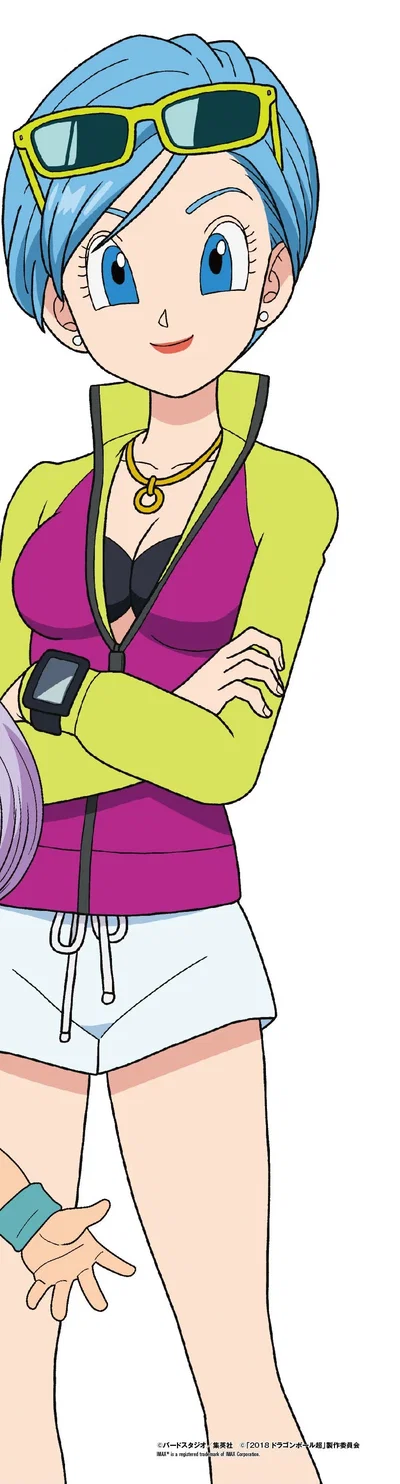 Bulma Briefs 