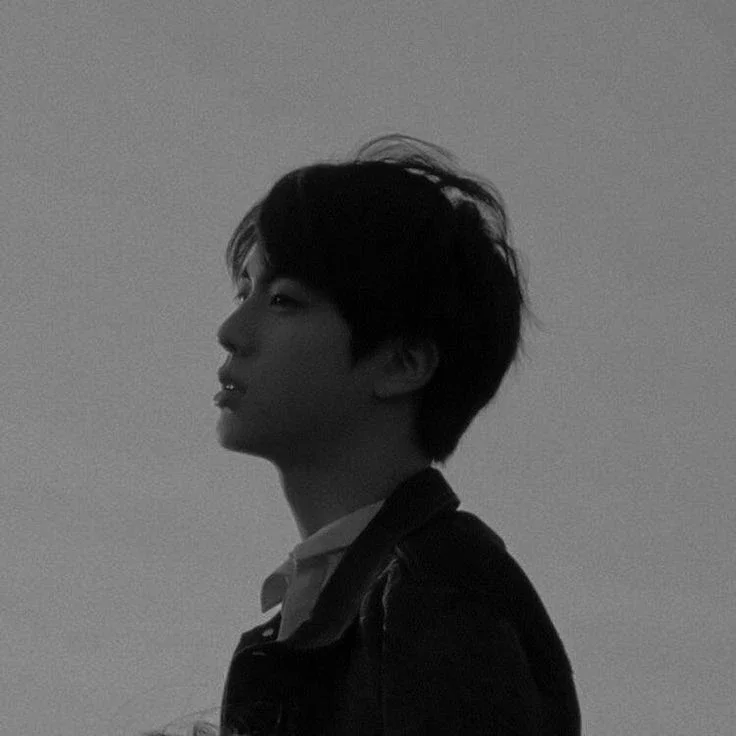 Mr. Kim Seokjin