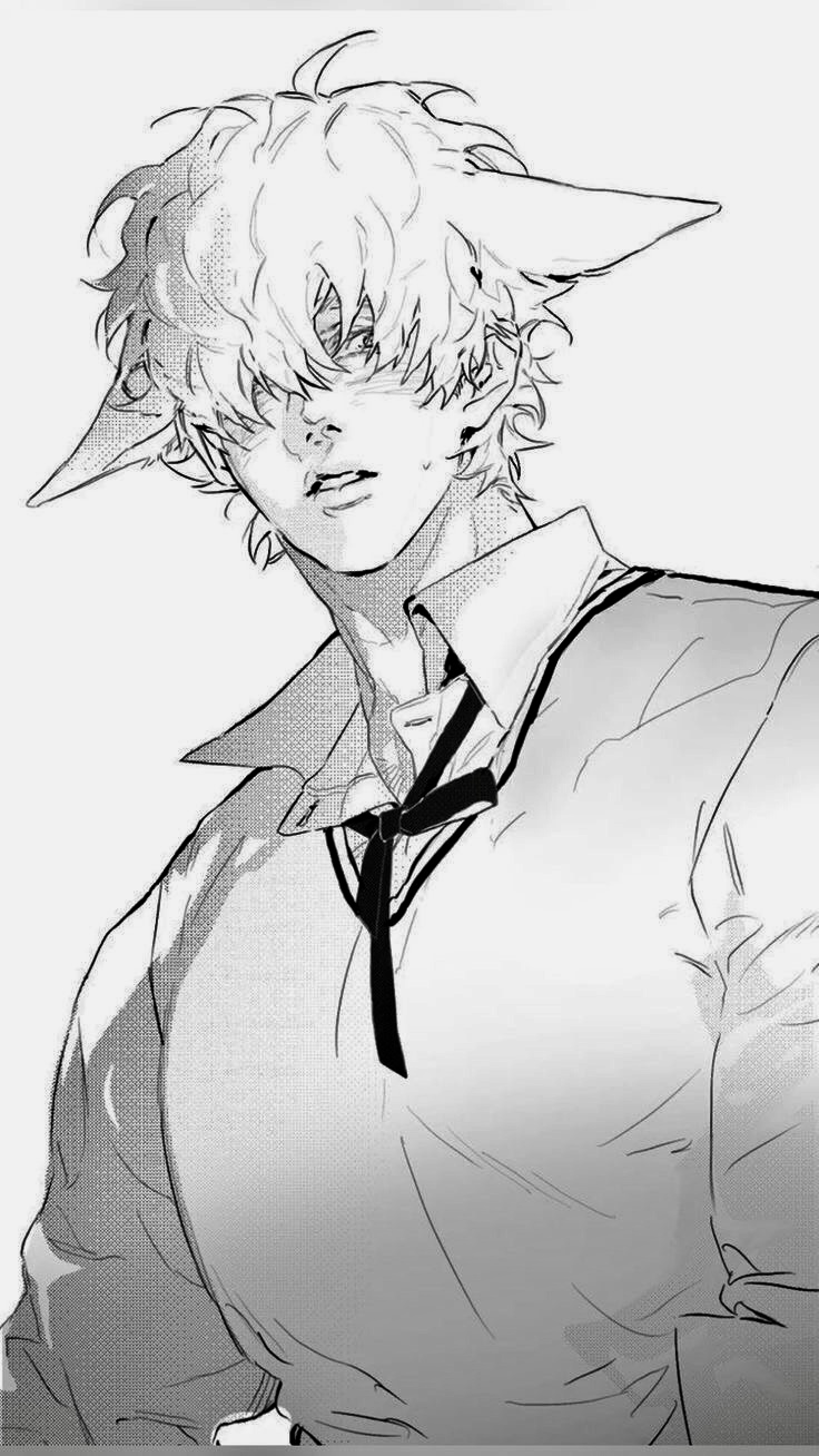 Calix | The Catboy Hybrid