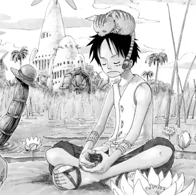 Luffy (  Pollen AU)