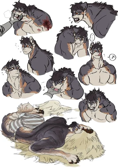 Half-wolf — Feliks