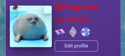 100 followers!