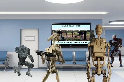 Robots Against Discrimination